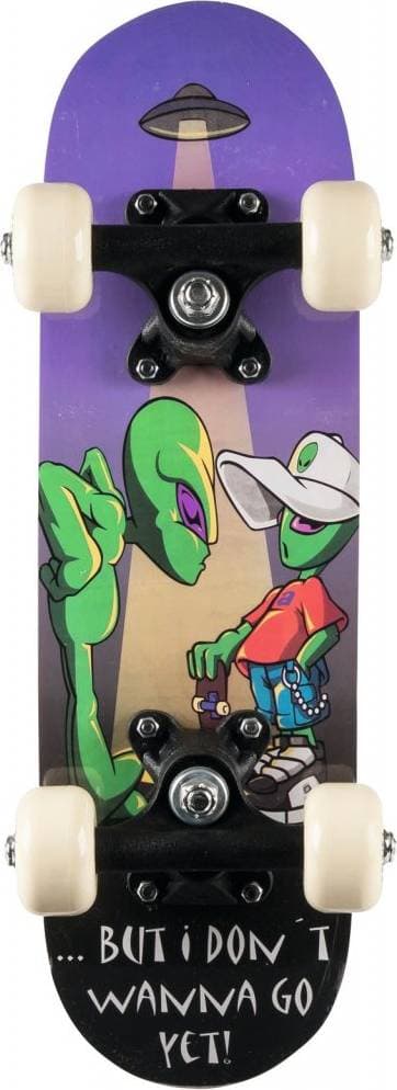California Mini Skateboard 5