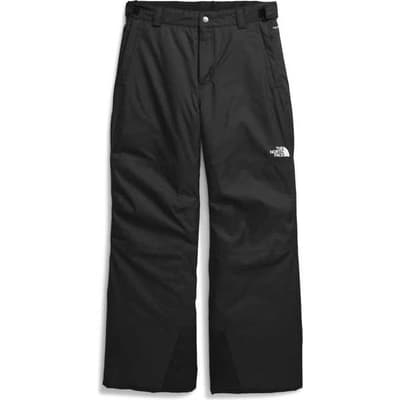 The North Face Boys Freedom Insulated Pant