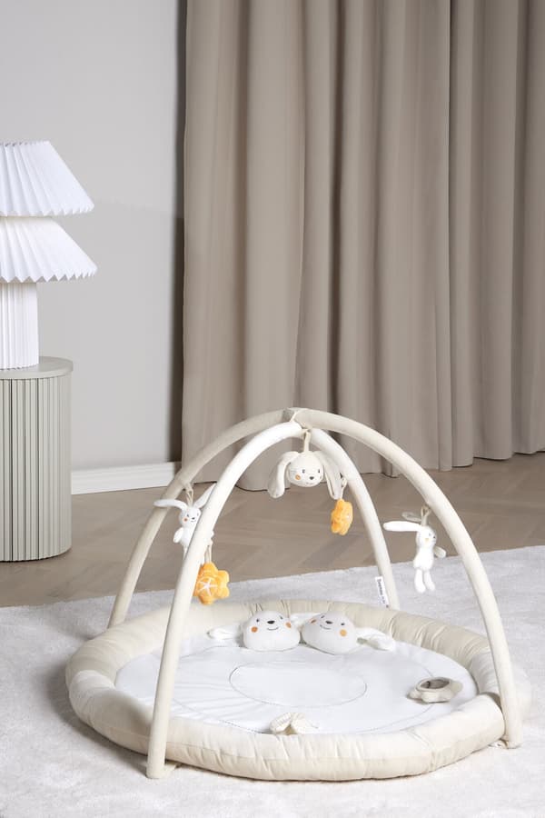 Beemoo PLAY Bunny Babygym, Beigerecension