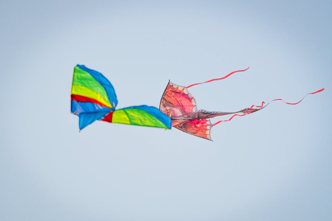 Flygande drake bäst i test: 5 jämförda modeller